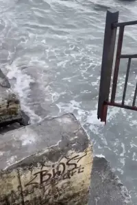 Постер до фильму"Галерея Норма" #890436