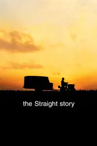 Постер до фильму"Проста історія" #949898