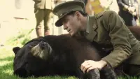 Задник до фильму"Ведмежа на ім