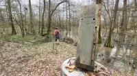 Задник до фильму"" #710231