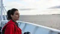 Задник до фильму"Сонячна ніч" #760336