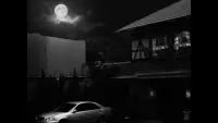 Задник до фильму"" #691632