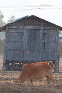 Постер до фильму"" #828715