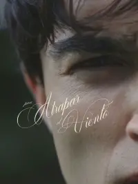 Para atrapar el viento