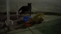 Задник до фильму"" #766517