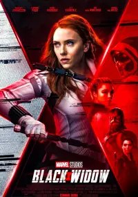 Постер до фильму"Чорна вдова" #935417