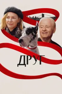 The Friend