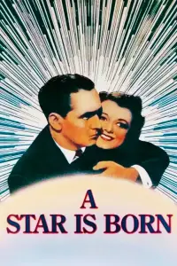 Постер до фильму"Зірка народилася" #993071