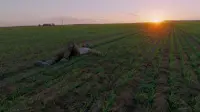 Задник до фильму"Пісня за піснею" #508344