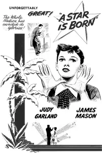 Постер до фильму"Зірка народилася" #1042523