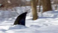 Задник до фильму"" #857800