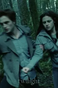 Постер до фильму"Сутінки" #899649