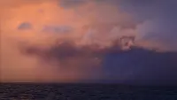 Задник до фильму"" #810397