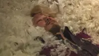 Задник до фильму"" #774035