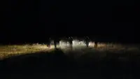Задник до фильму"" #811963