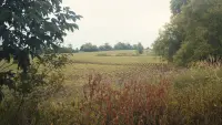 Задник до фильму"" #620941