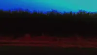 Задник до фильму"" #636289