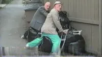 Задник до фильму"" #749986