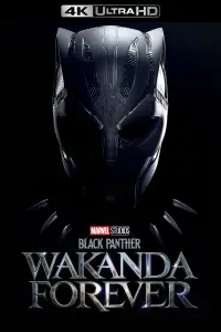 Постер до фильму"Чорна пантера: Ваканда назавжди" #916859