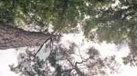Задник до фильму"" #416462