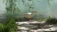 Задник до фильму"" #778357