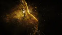 Задник до фильму"Капітан Марвел" #259684