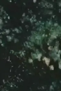 Постер до фильму"Пісня 14" #1043189