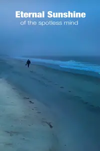 Постер до фильму"Вічне сяйво чистого розуму" #923788