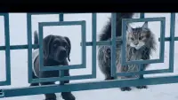 Задник до фильму"" #429764