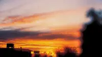 Задник до фильму"" #780027