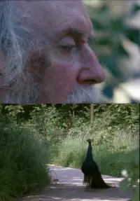 Постер до фильму"" #1096244