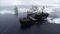Задник до фильму"" #705049