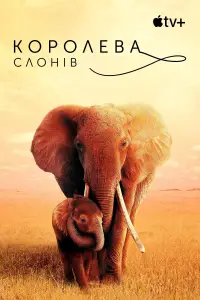 Постер до фильму"Королева слонів" #1015304