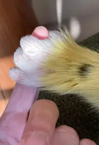 Постер до фильму"" #1030436