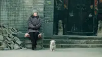 Задник до фильму"" #847641
