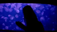 Задник до фильму"" #477643