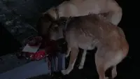 Задник до фильму"" #692560