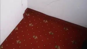 Задник до фильму"" #544930