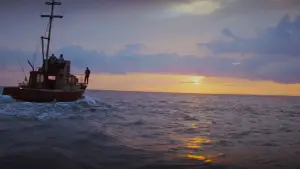 Задник до фильму"Щелепи" #520989