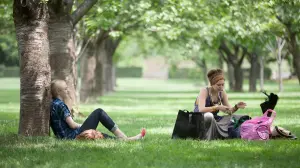 Задник до фильму"Дуже хороші дівчатка" #438802