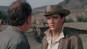 Задник до фильму"" #462500