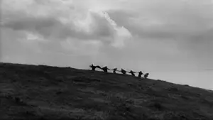 Задник до фильму"Сьома печатка" #675313