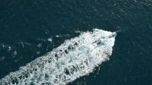 Задник до фильму"Кракен" #629649