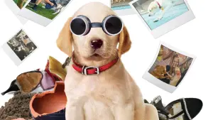 Задник до фильму"Марлі та я 2" #397637