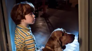 Задник до фильму"Буль і Білл" #501887