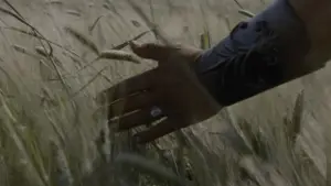 Задник до фильму"Гладіатор" #552962