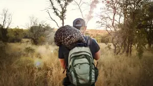 Задник до фильму"Панголін: Подорож Кулу" #669467