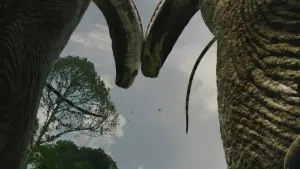 Задник до фильму"" #511857