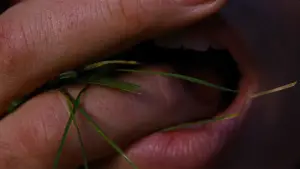 Задник до фильму"«Буремний перевал»" #509335