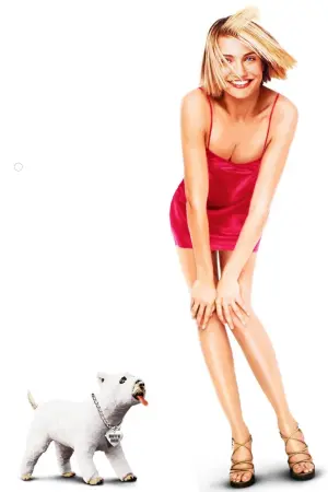 Постер до фильму"Всі шаленіють від Мері" #273208